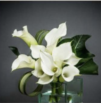 Modern Floral Arrangement - $175